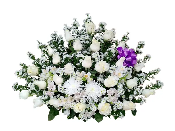 Paz Blanca
