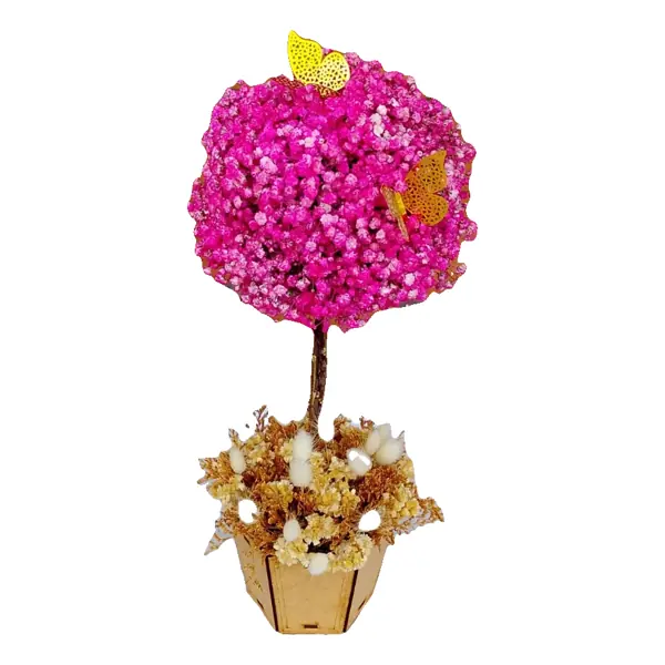 Topiario Fucsia